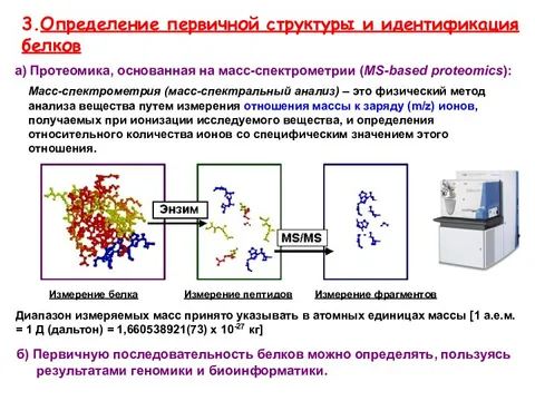 Определите первичную