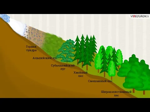 Высотную границу лесов. Выостная пяосность Каказа. Высотная поясность кавказских гор. Схема ВЫСОТНОЙ поясности Кавказа. Высотная поясность в горах Кавказа.