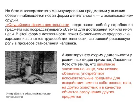 Примеры государственной деятельности человека: найдено 74 картинок