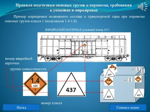 Маркировка тс при перевозке опасных грузов. Маркировка опасных грузов на судне. Книга по опасным грузам. Опасные грузы правила. Маркировка транспорта перевозящего опасные грузы.