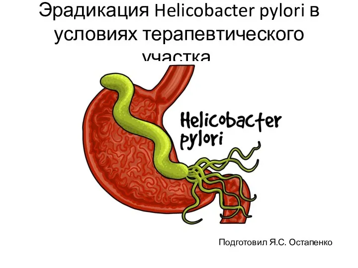 Что такое эрадикация хеликобактер. Эрадикация хеликобактер пилори. Эрадикация Helicobacter pylori Маастрихт 6. Эрадикация h. pylori при помощи растений. Эрадикация БГСА.