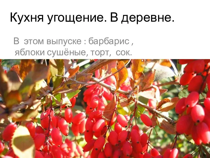 яблоко барбарис