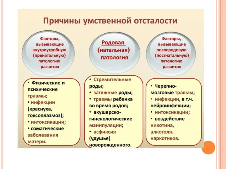 Виды интеллекта. Определение презентация