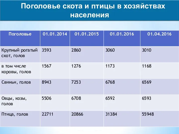Поголовье крупного рогатого скота. Состав и поголовье скота. Кто выделяется по поголовью крс. Категории хозяйств. Кто выделяется по поголовью крс.