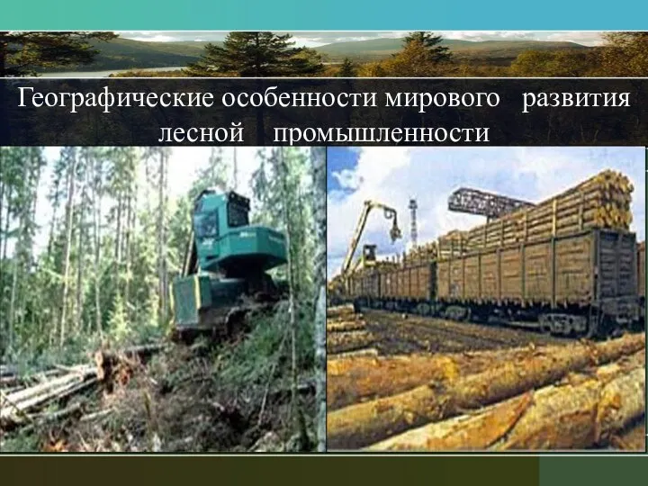 Специализации лесной промышленности. Лесная и деревообрабатывающая промышленность. Лесная и деревообрабатывающая промышленность презентация.