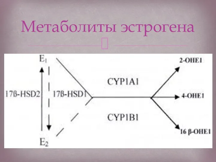 Фармакогеномика метаболизма половых гормонов Риск рака молочной железы при гормональной терапии 8501