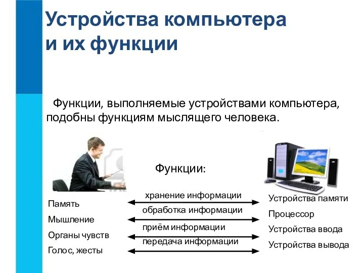 Функции людей в проекте