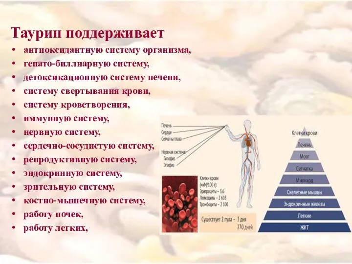 Таурин как влияет. Нехватка таурина в организме человека симптомы. таурин сибирское здоровье для чего нужен организму. таурин фото для презентации. как таурин влияет на давление.
