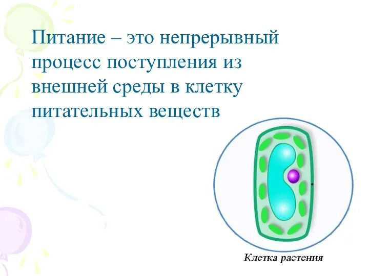 Питательная клетка. Жизнедеятельность клетки ее деление и рост. Продукты жизнедеятельности клетки. Хранение продуктов жизнедеятельности клетки. Какое значение одинаковое в жизнедеятельности клетки у хралофила.