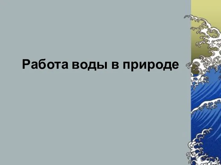 Какие моря омывают наши