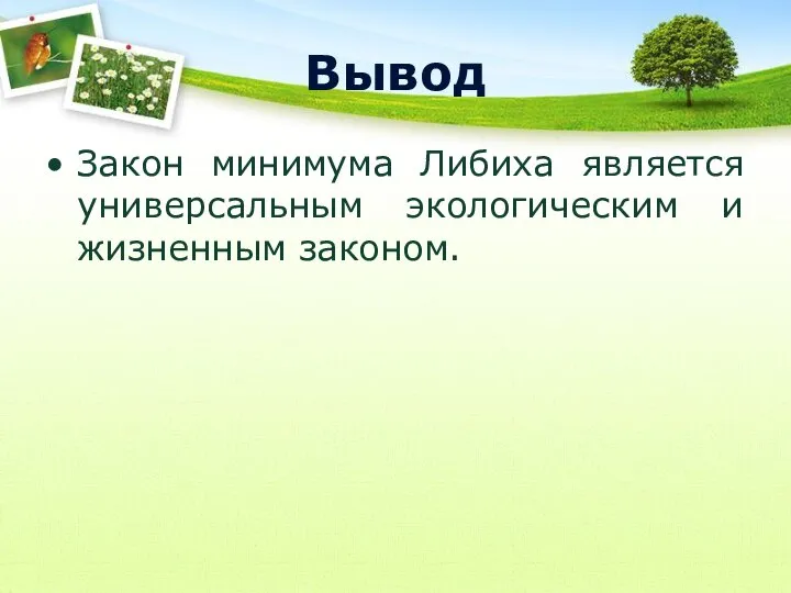 Вывел закон