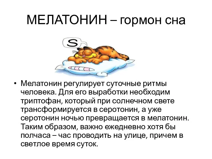Железа эпиталамуса выделяет гормон регулирующий суточные ритмы. Железа эпиталамуса выделяет гормон регулирующий суточные ритмы. Схема регуляции сна и бодрствования. Железа эпиталамуса выделяет гормон регулирующий суточные ритмы. Какие гормоны выделяет эпифиз.