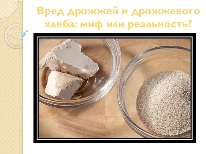 Дрожжи польза и вред для человека. Дрожжи в организме как избавиться. Дрожжевые грибы биология. Вредны ли дрожжи для организма. Дрожжи в организме человека.