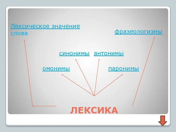 Лексика лексическое значение