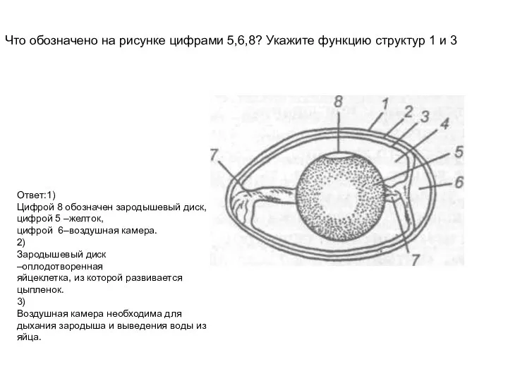 Рассмотрите рисунок что обозначено цифрами 1.2 3