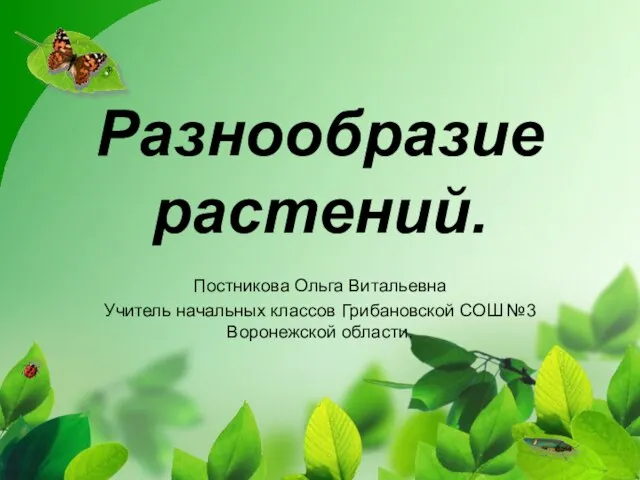 Многообразие растений 5 класс биология презентация