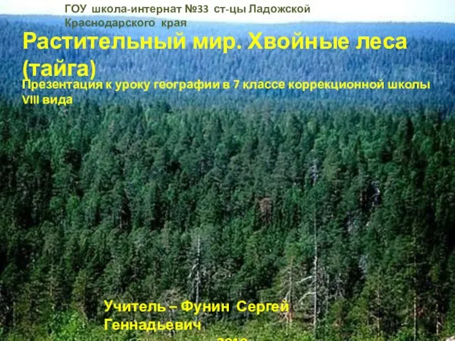 Одежда в тайге география. Тайга слово. Что обозначает слово дремучий лес. Значение слова Тайга.