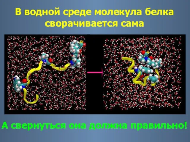 Молекулярная среда