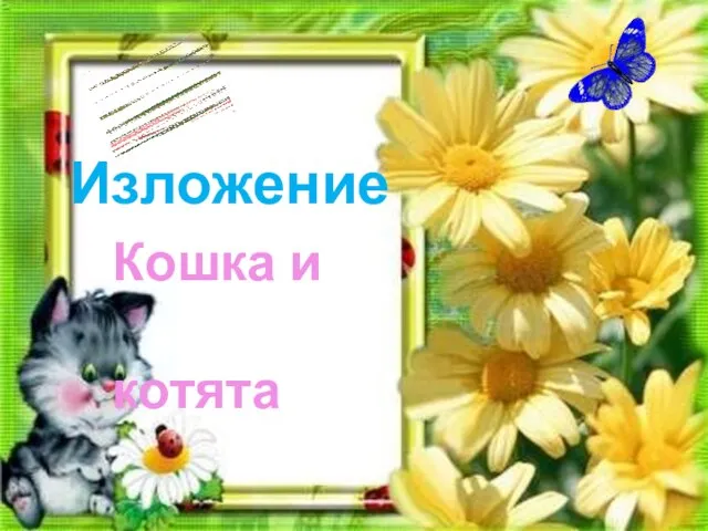 Изложение кошка