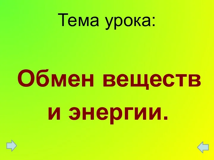 Обмен уроками