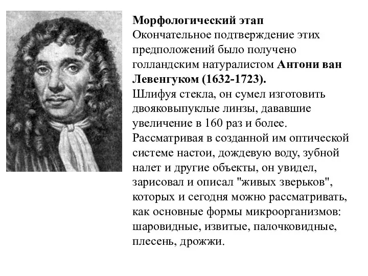 Нидерландский натуралист. Морфологический период развития микробиологии. Антони Ван Левенгук. Морфологический этап микробиологии. Дженнер вклад в развитие микробиологии.