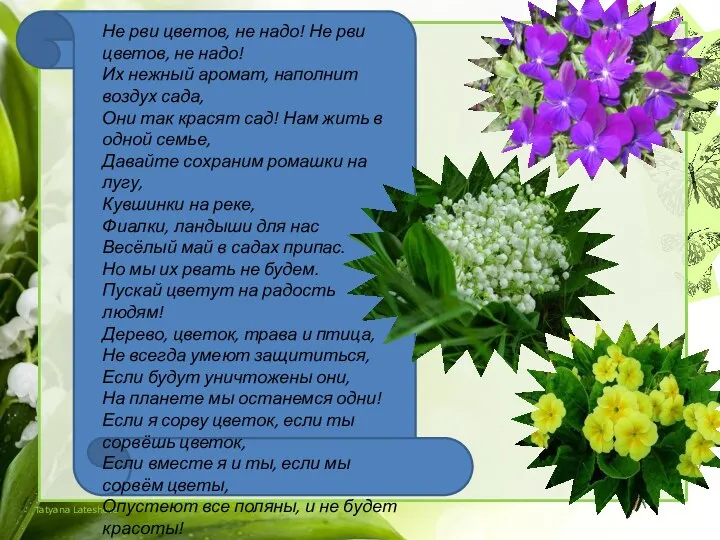 Не цветы рви их. Не цветы рви их. Не цветы рви их. Не рви растения в лесу. Рвать цветы.