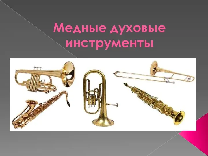 Оркестровые медные духовые инструменты. Состав медно духовой группы. Музыкальный инструмент духовой. Медные духовые симфонического оркестра. Медные духовые инструменты раскраска.