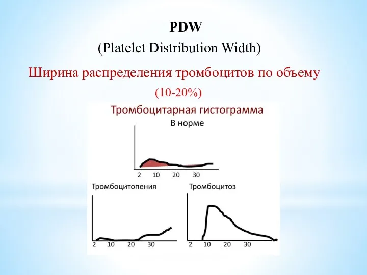 Ширина распределения тромбоцитов pdw повышен