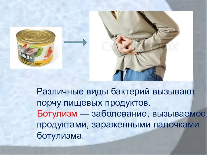 Вызывает порчу пищевых продуктов