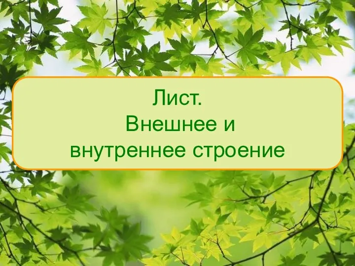 Функции листа 7 класс. Функции листа 7 класс