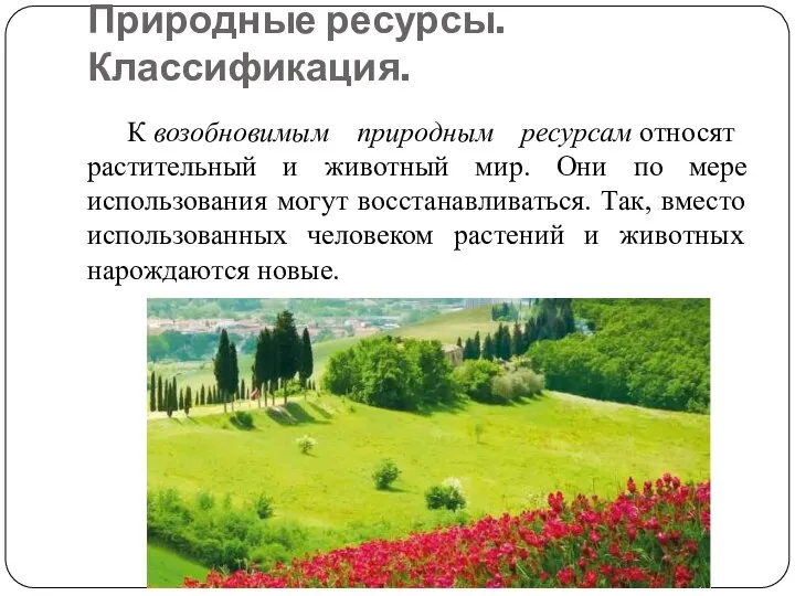 биологические ресурсы. биологические ресурсы. понятие биологические ресурсы. охрана животных и растительных ресурсов. природные богатства растения.