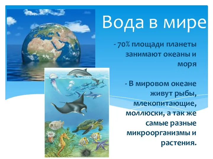 70 океана занимает. Распространение живых организмов в мировом океане зависит от. Больше всего живых организмов находится в мировом океане да или нет.