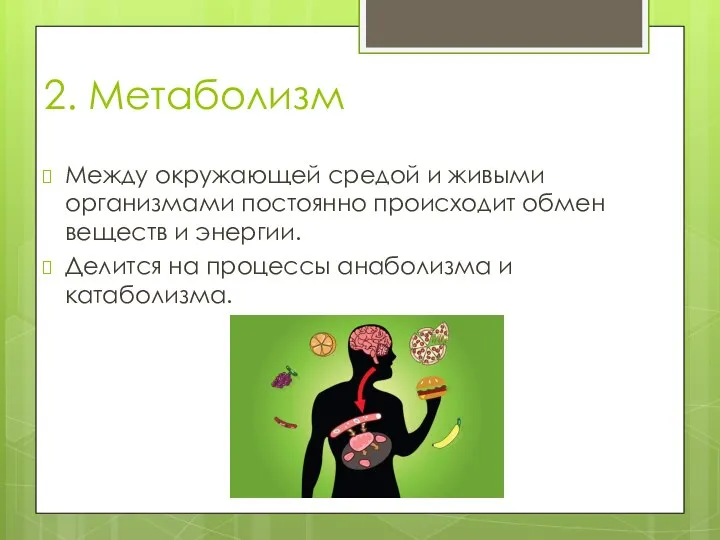 Межа окружающий мир. Качества взрослого человека. Определенную работу. Что должен знать и уметь человек чтобы получить достойную работу. Как любого человека можно научить чему-угодно.