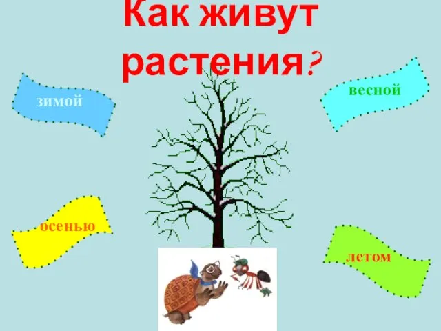 Как живут растения и животные