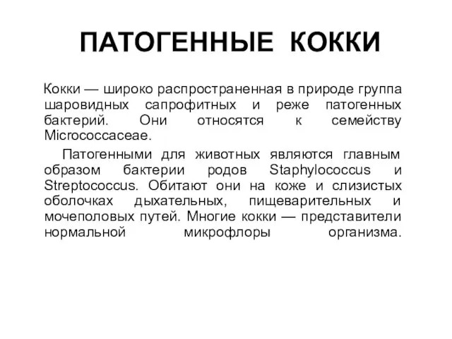 Палочка стрептококк и стафилококк. Грамположительные кокки. Заболевание вызванное патогенными кокками. Патогенные кокки презентация. Классификация патогенных кокков.