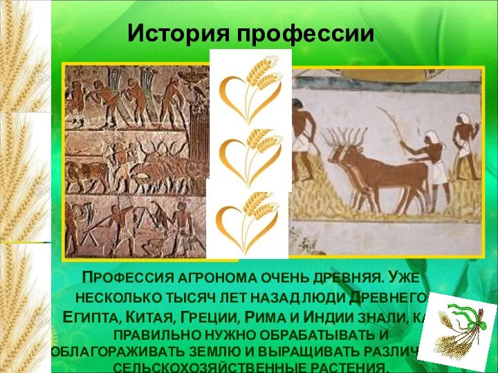 Проект моя будущая профессия агроном ГАПОУ ПО "Пензенский агропромышленный колледж"