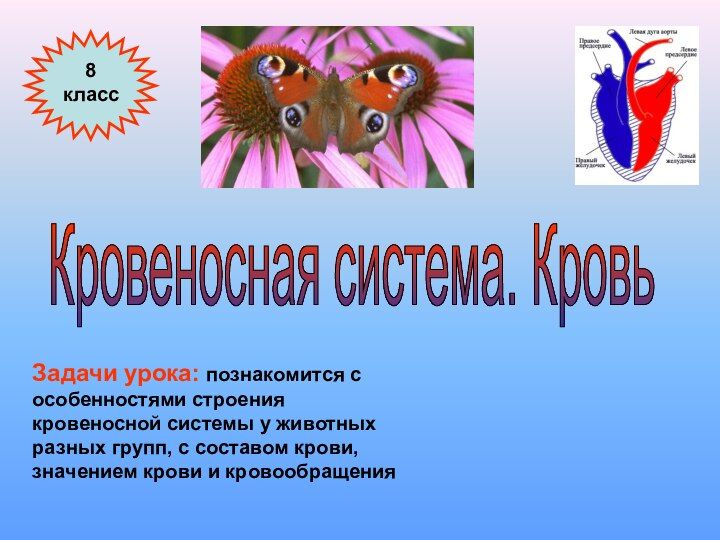 Конспект урока и презентация по биологии "Строение и функции крови"