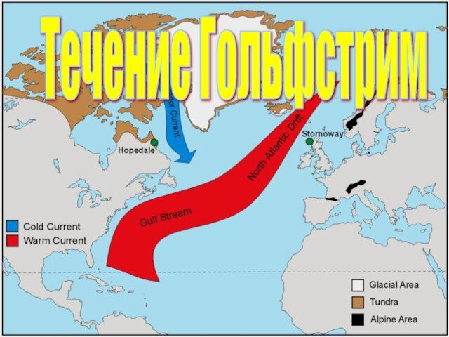 Воспользуйтесь текстом два гольфстрима ответы